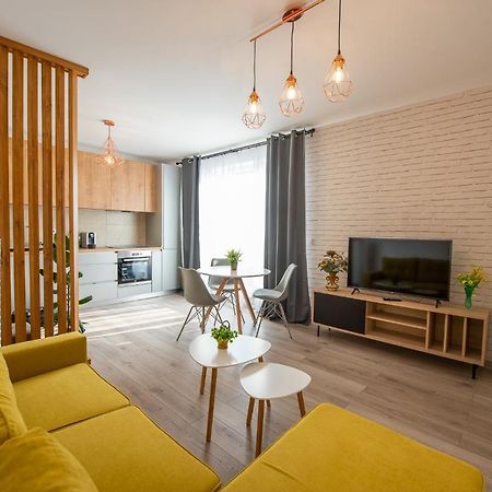 Art Apartment Târgu-Mureş Dış mekan fotoğraf