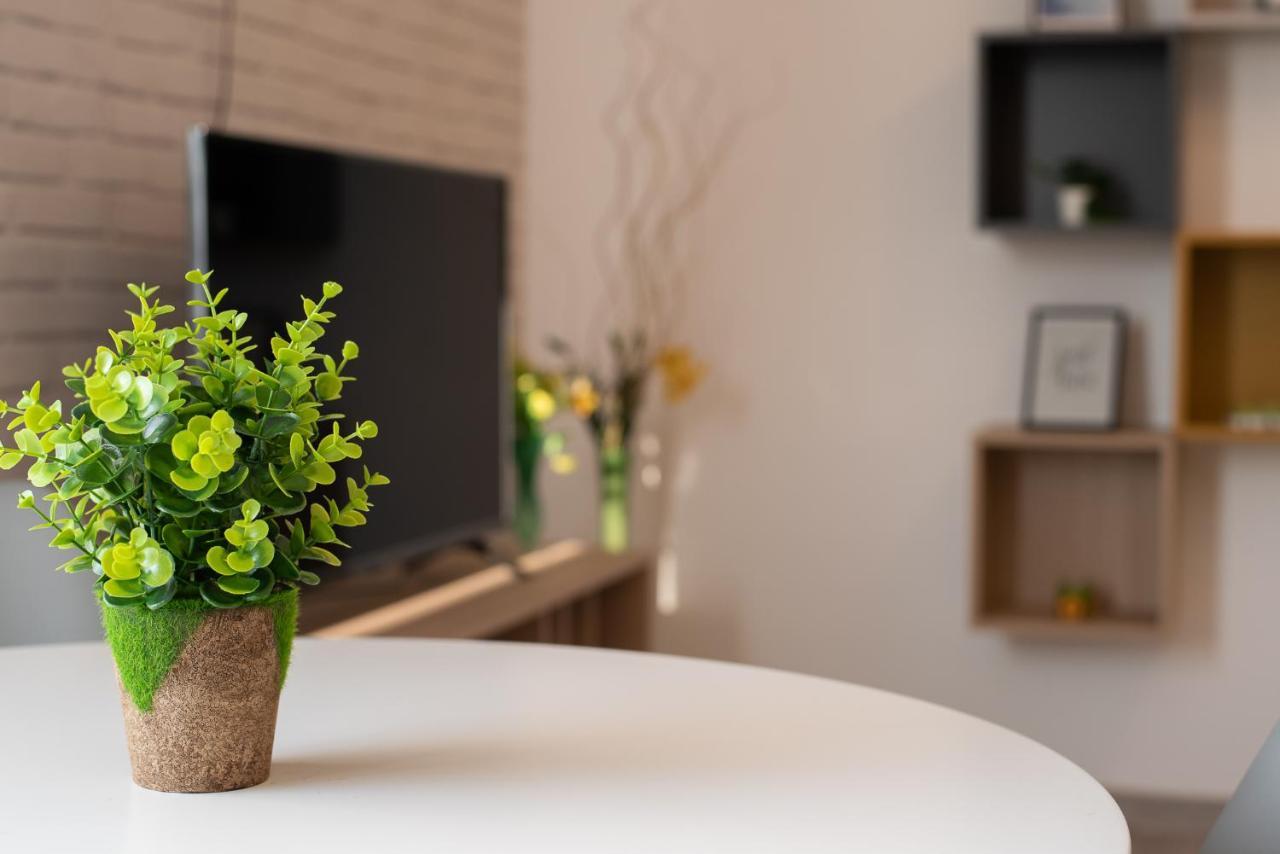 Art Apartment Târgu-Mureş Dış mekan fotoğraf