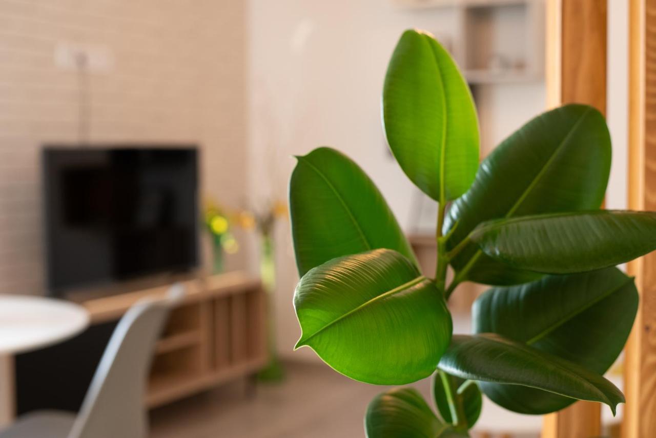 Art Apartment Târgu-Mureş Dış mekan fotoğraf